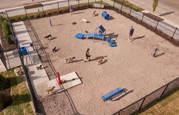 Dog park